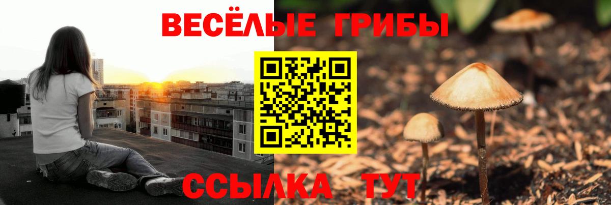 Галлюциногенные грибы GOLDEN TEACHER  Галлюциногенные грибы Psilocybine cubensis  Вход с VPN  цены   Бахчисарай 